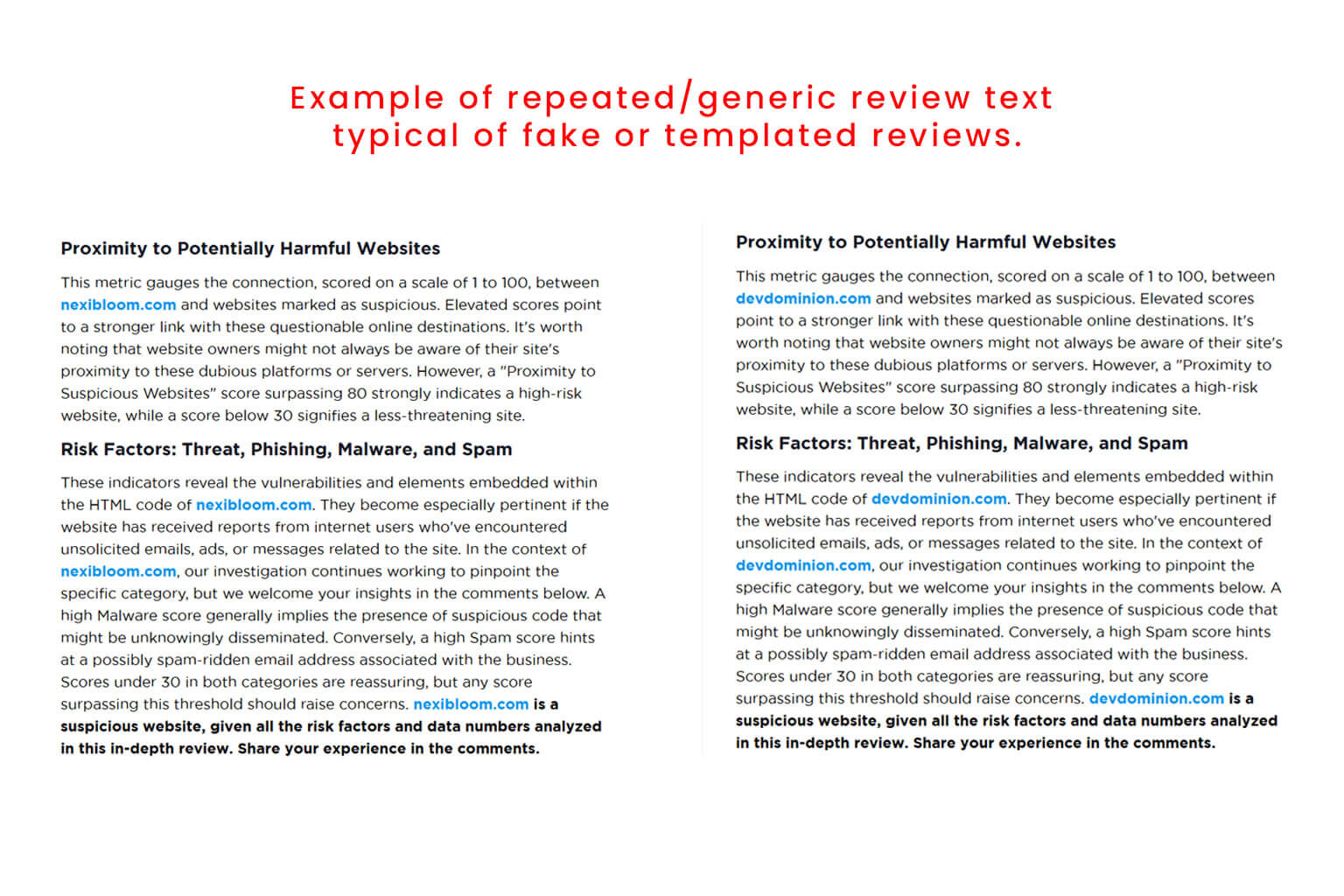 Example of a likely fake review on Scam-Detector.com with repeated text patterns